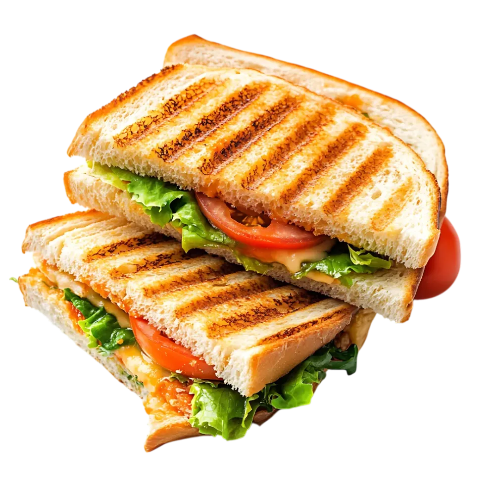 panini